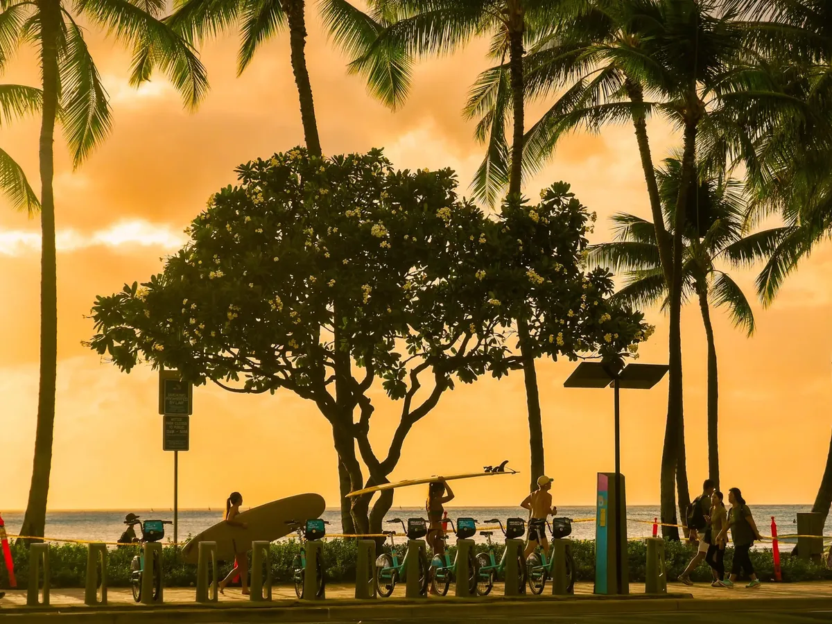 Surfers walking under the palms at sunset on Waikiki Beach, Honolulu, Oahu