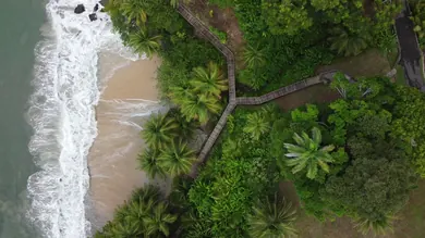 Beverly Schulte, luxury travel advisor, Paradise Travel